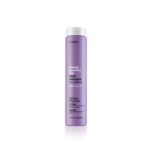 Erayba Abh/ Pilkinantis šampūnas „silver no-yellow shampoo” 250 ml